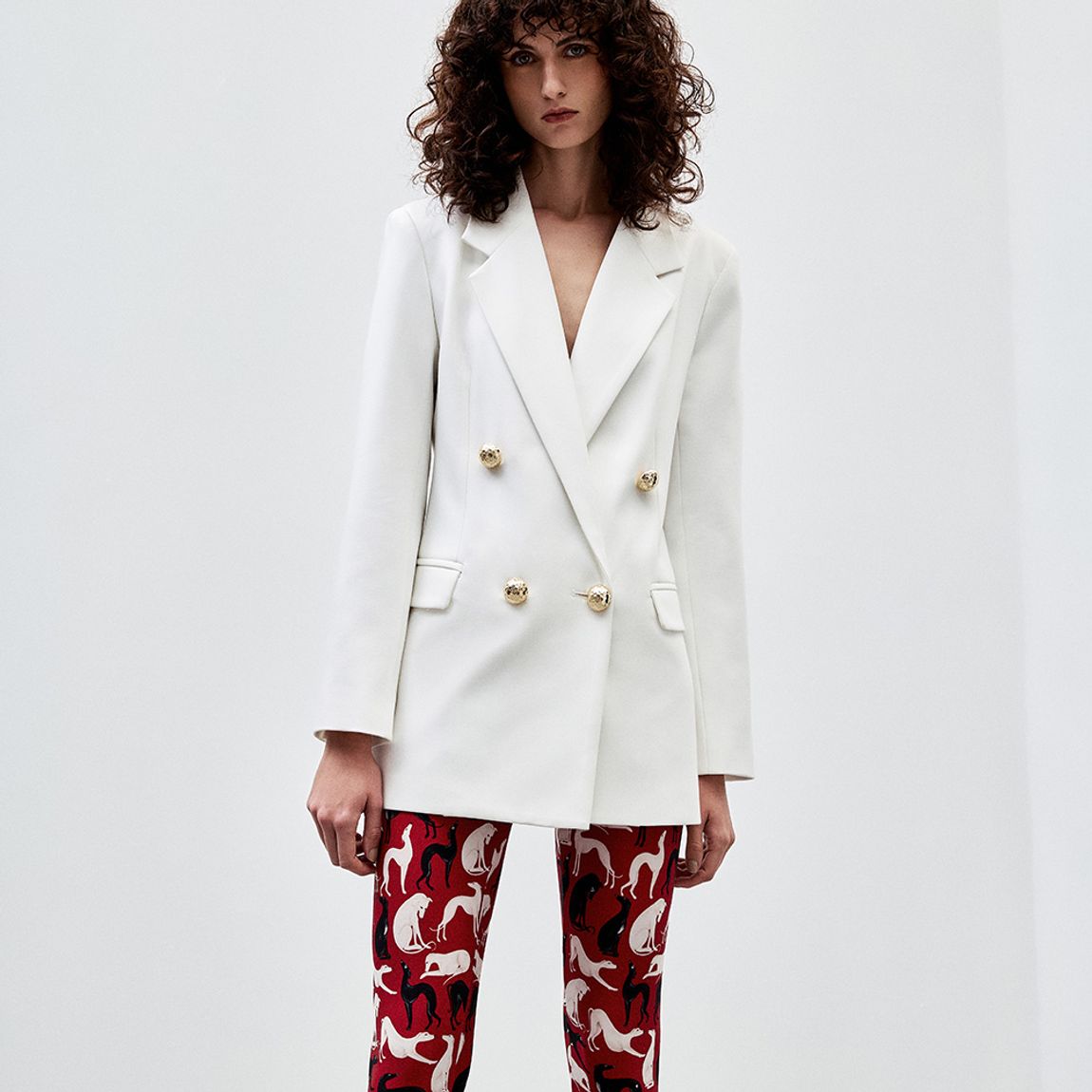Blazer Alfaiataria Campo Duda